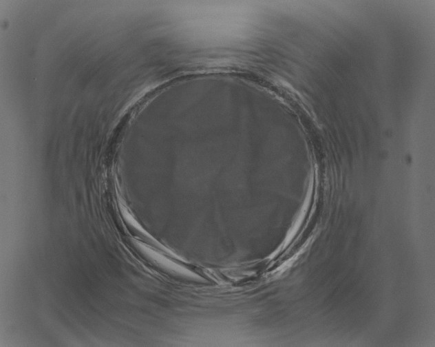 X0000067361449200604281713