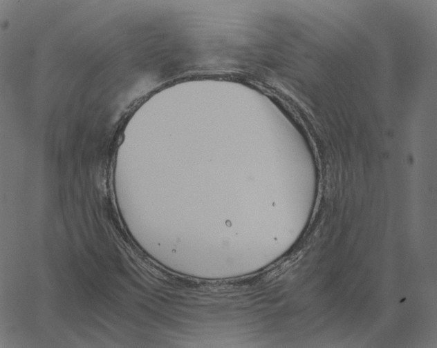 X0000067361451200604281713