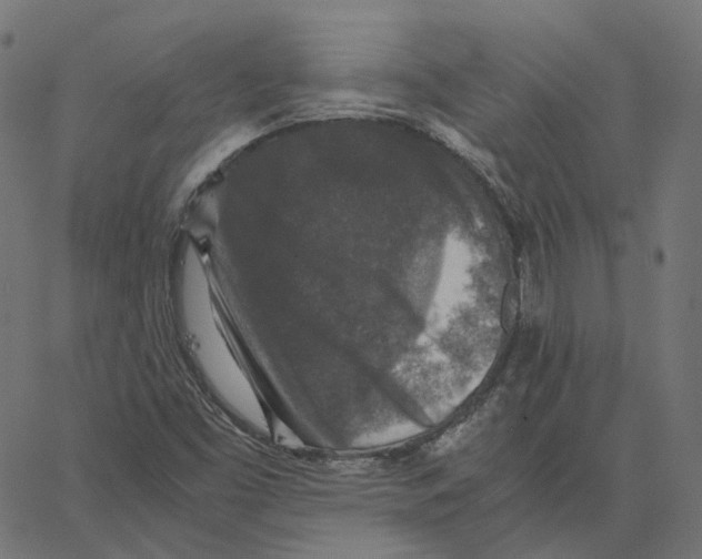 X0000067361453200604281713