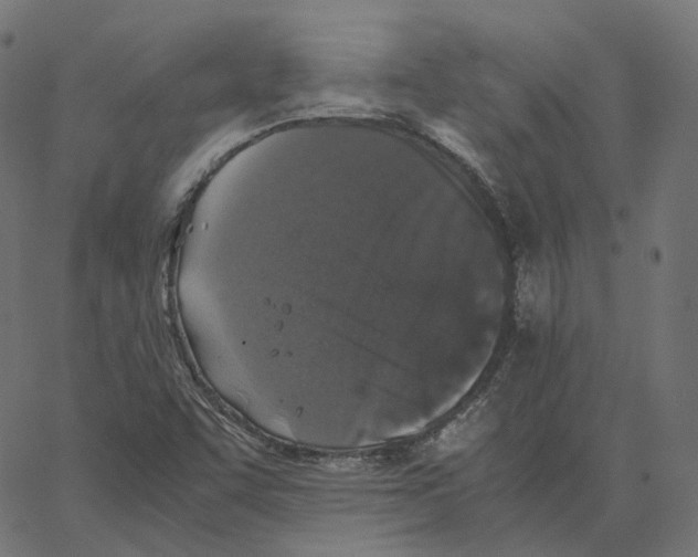 X0000067361455200604281713