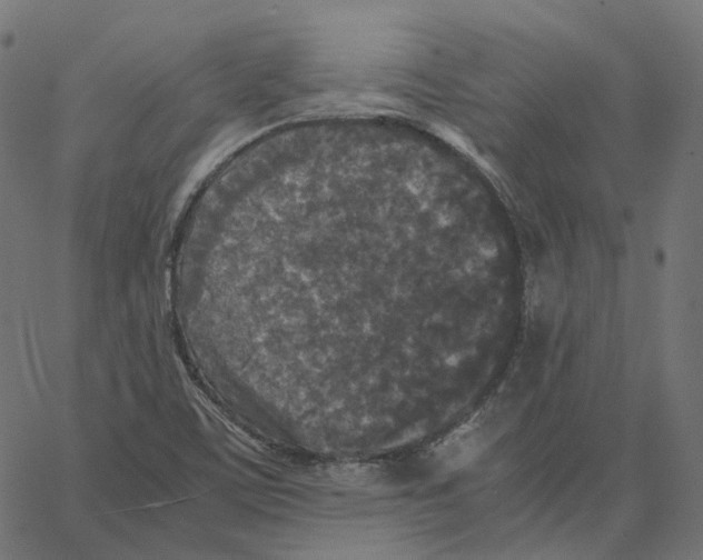 X0000067361459200604281713