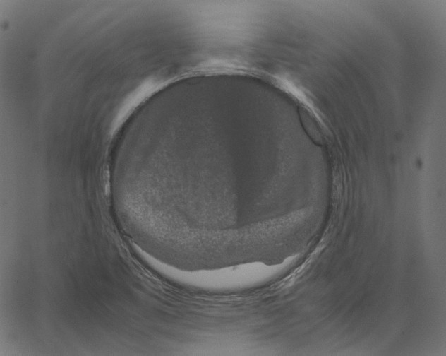 X0000067361461200604281713