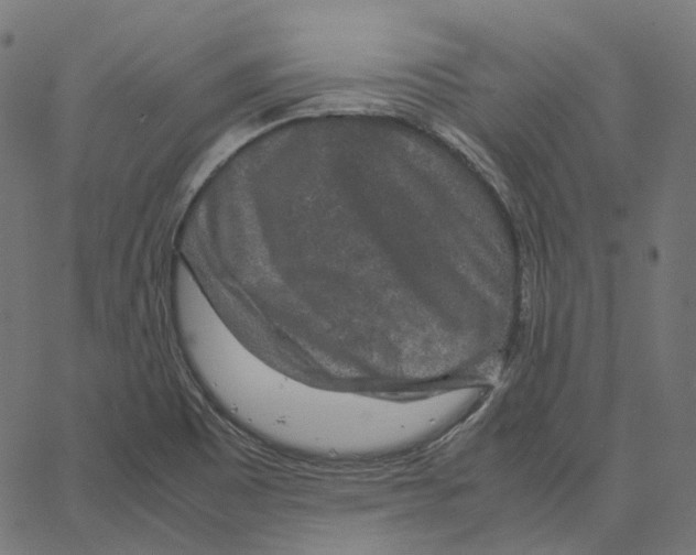 X0000067361465200604281713