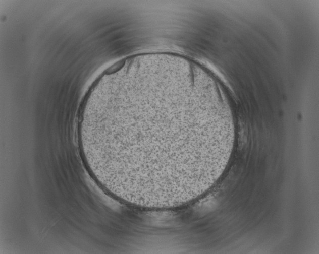 X0000067361468200604281713