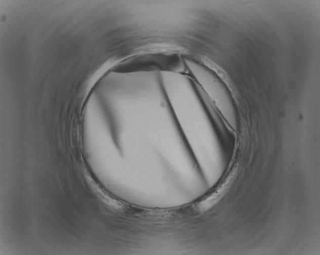 X0000067361473200604281712