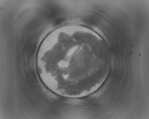 X0000067361474200604281712