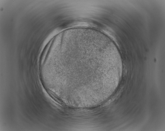 X0000067361475200604281712