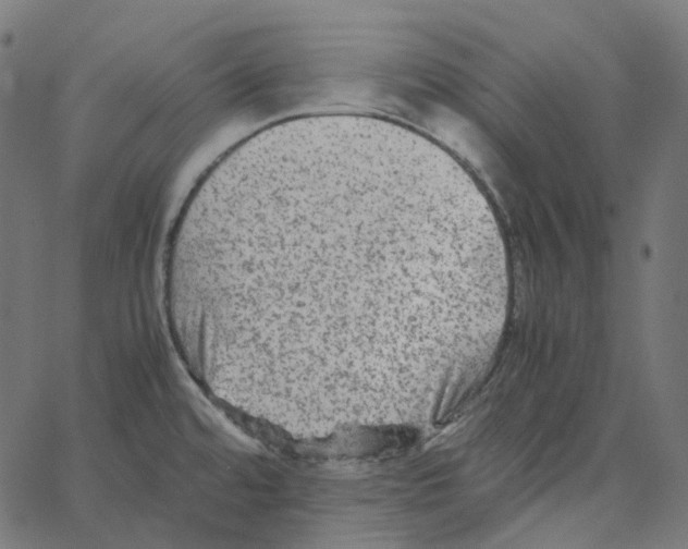 X0000067361480200604281712