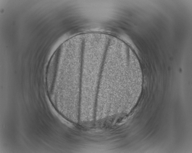 X0000067361483200604281712