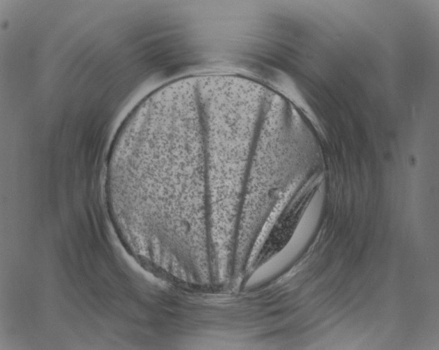 X0000067361484200604281712