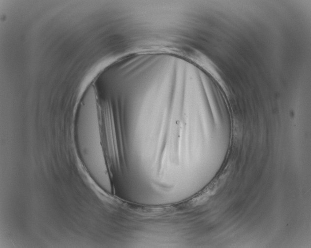 X0000067361485200604281712