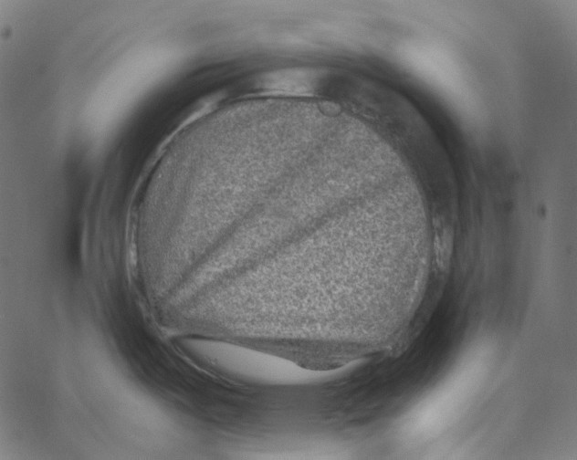 X0000067361487200604281712