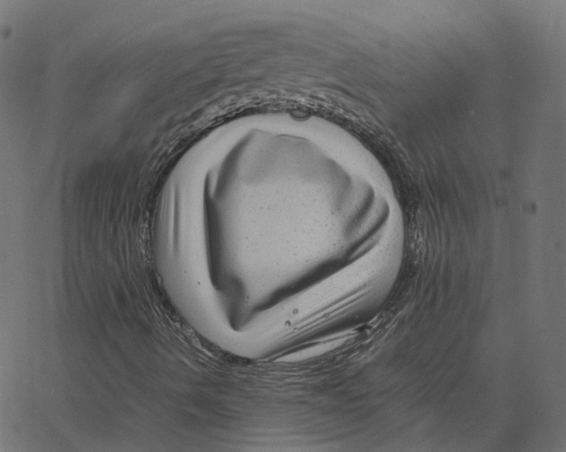 X0000067361490200604281711