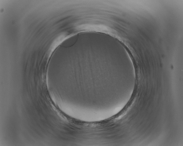 X0000067361529200604281712