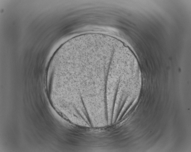 X0000067361531200604281712