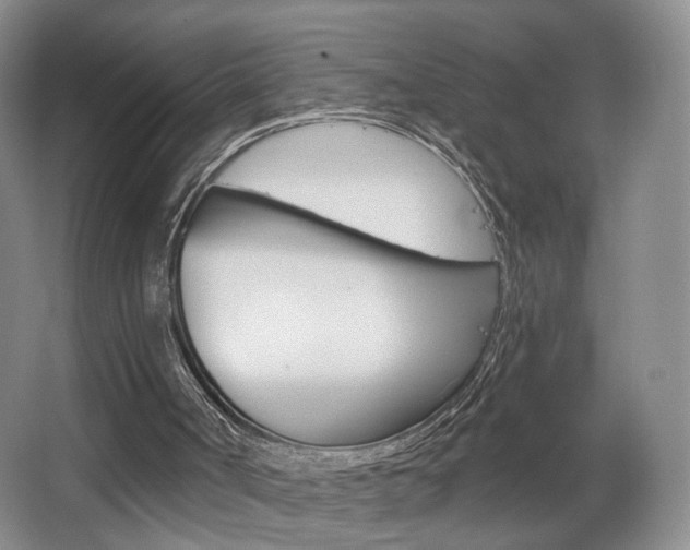X0000067370002200603311006