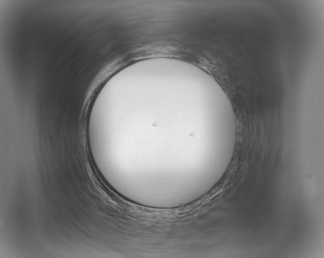 X0000067370004200603311006