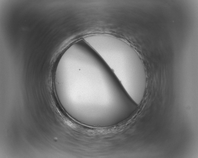 X0000067370005200603311006
