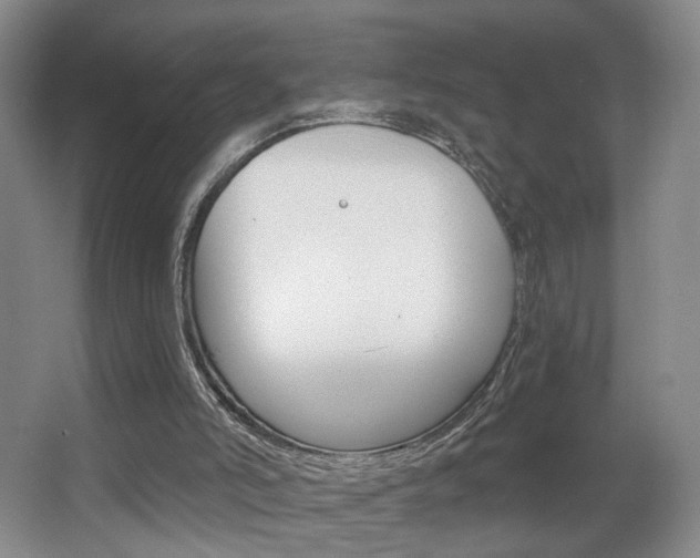 X0000067370006200603311006