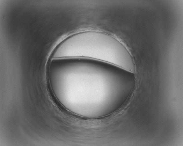 X0000067370008200603311006