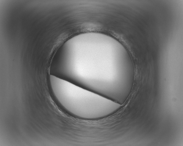 X0000067370010200603311006