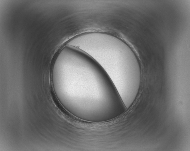 X0000067370011200603311006