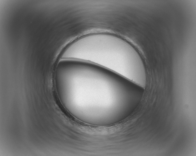 X0000067370015200603311006