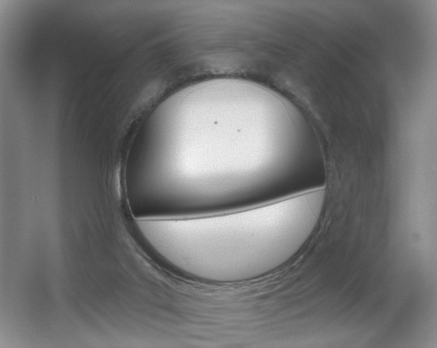 X0000067370019200603311006