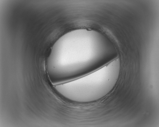 X0000067370021200603311006