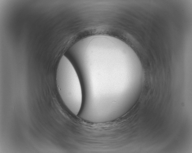 X0000067370022200603311006