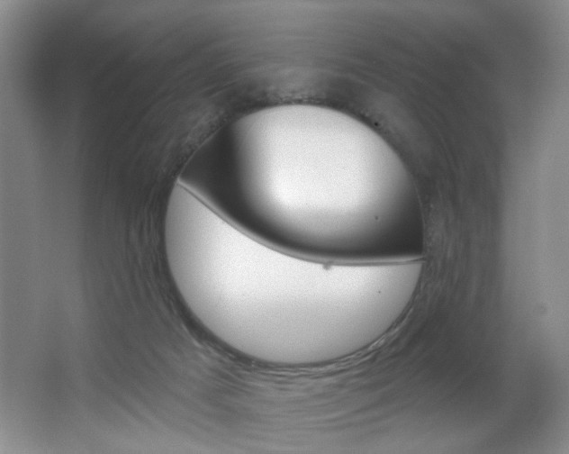 X0000067370025200603311006