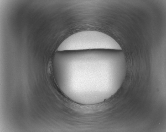X0000067370038200603311006
