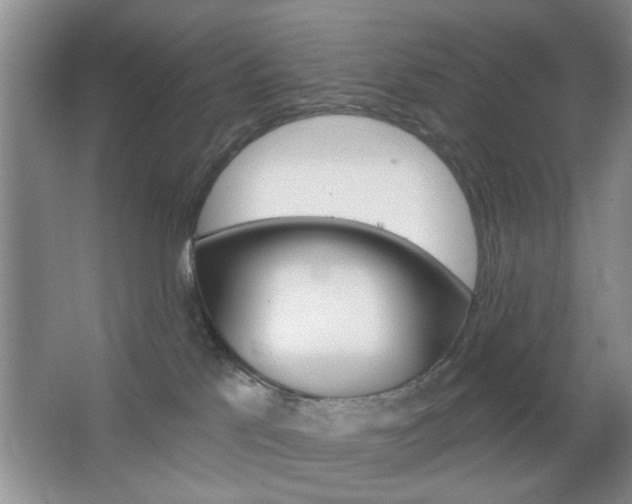 X0000067370041200603311006