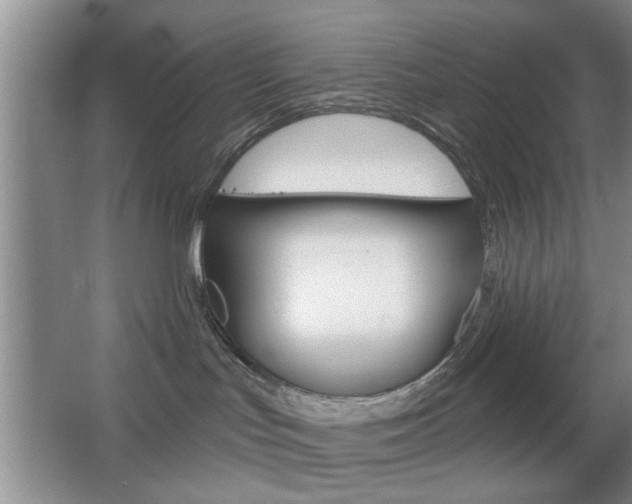 X0000067370047200603311006