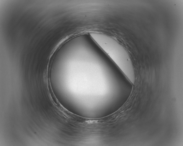 X0000067370052200603311005