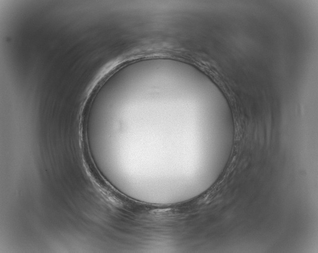 X0000067370054200603311005
