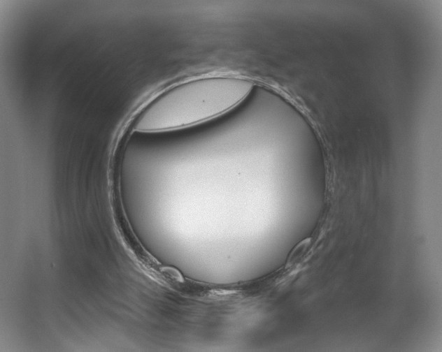 X0000067370055200603311005