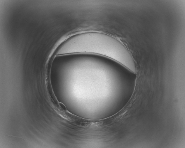 X0000067370056200603311005