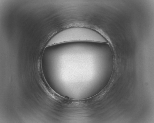 X0000067370057200603311005