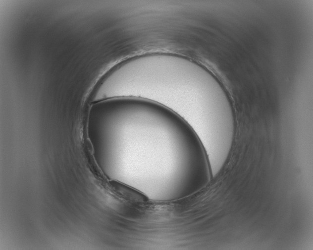 X0000067370060200603311005