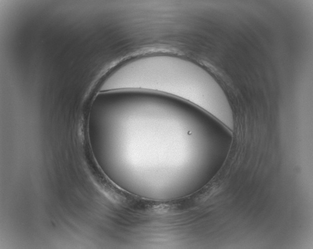 X0000067370064200603311005