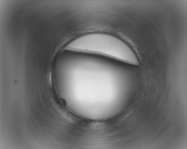 X0000067370067200603311005