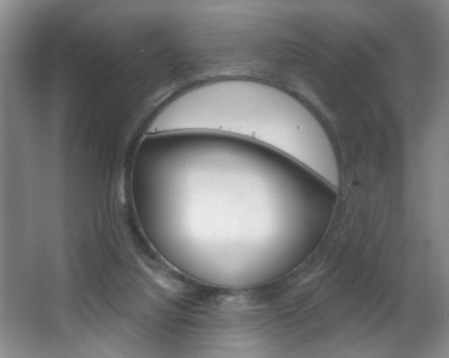 X0000067370068200603311005