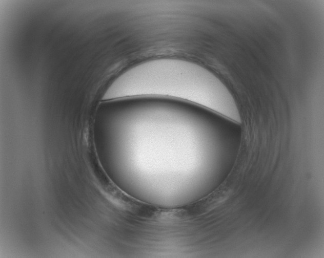 X0000067370072200603311005