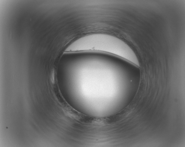 X0000067370076200603311005