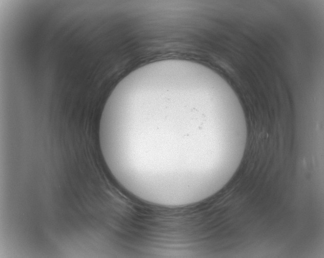 X0000067370077200603311005