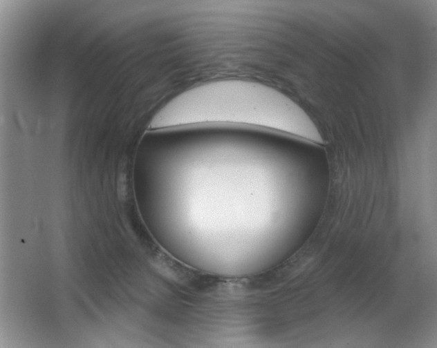 X0000067370080200603311005