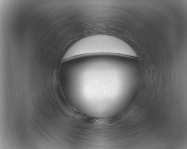 X0000067370088200603311005