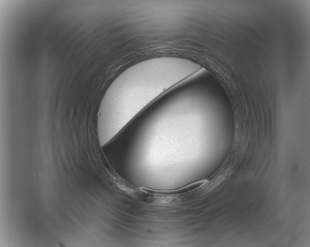 X0000067370096200603311006