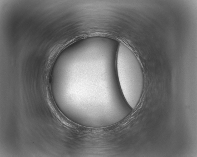 X0000067370097200603311005